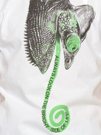 Футболка для мальчиков (хамелеон) р. 86-110