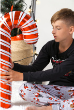 Пижама для мальчика в стиле family look &quot;Мороз-2&quot;