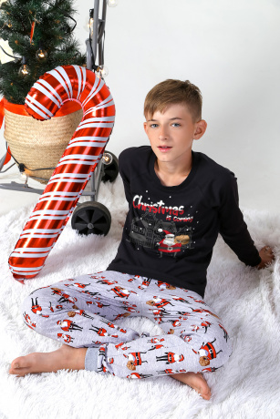 Пижама для мальчика в стиле family look "Мороз-2"