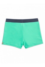 Купальные шорты для мальчиков с акулой, изумрудный (рост 116-146)