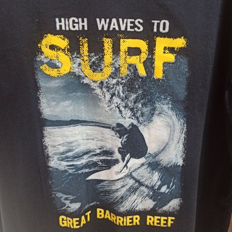 Футболка мужская большого размера, с принтом