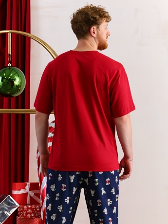 Костюм мужской Коляда-4 бордовый