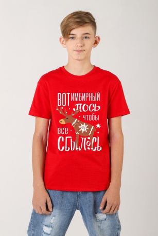 Футболка для мальчика Новогодняя-2