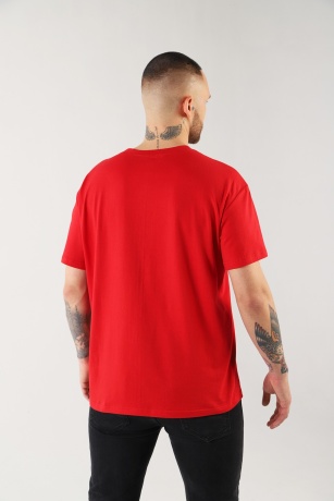 Футболка мужская Карнавал-4