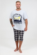 Костюм мужской светло-серый с шортами в клетку