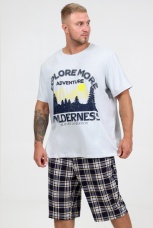 Костюм мужской светло-серый с шортами в клетку