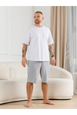 Шорты мужские Тор-5