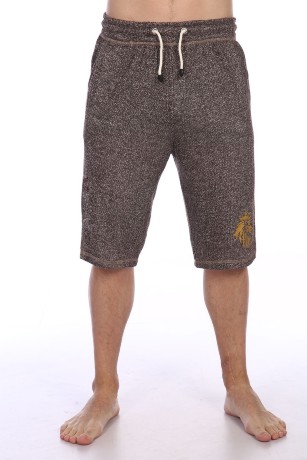 Мужские шорты коричневые со львом