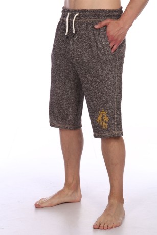 Мужские шорты коричневые со львом