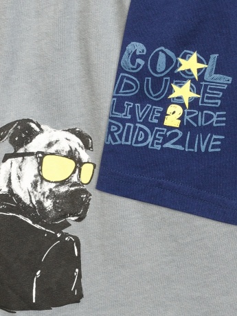 Трусы для мальчиков с собакой и надписью (2 штук)