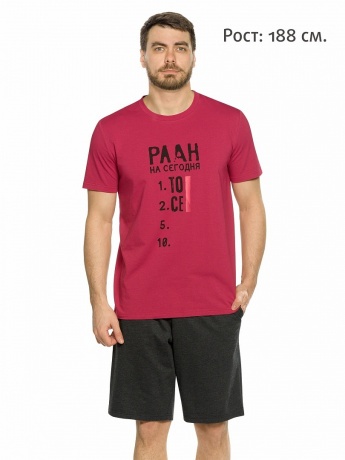 Мужской комплект бордовый, План на сегодня (шорты, рост 188)