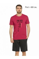 Мужской комплект бордовый, План на сегодня (шорты, рост 188)