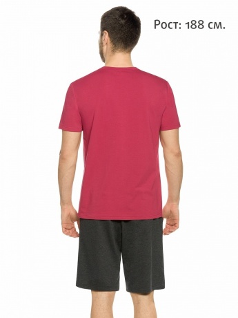 Мужской комплект бордовый, План на сегодня (шорты, рост 188)