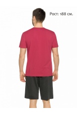 Мужской комплект бордовый, План на сегодня (шорты, рост 188)