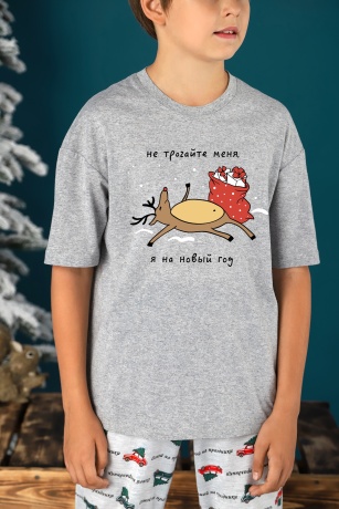 Пижама для мальчика новогодняя family look Каникулы-2 серый