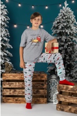Пижама для мальчика новогодняя family look Каникулы-2 серый
