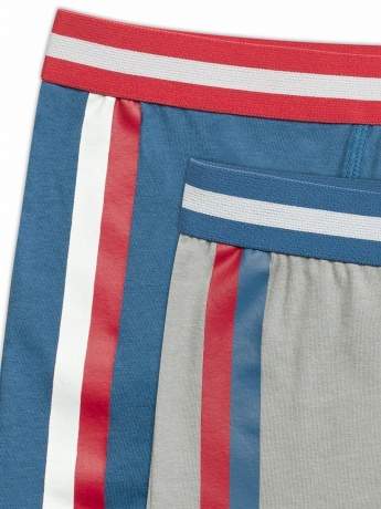Трусы для мальчиков синий/серый с полоской (2 штук)