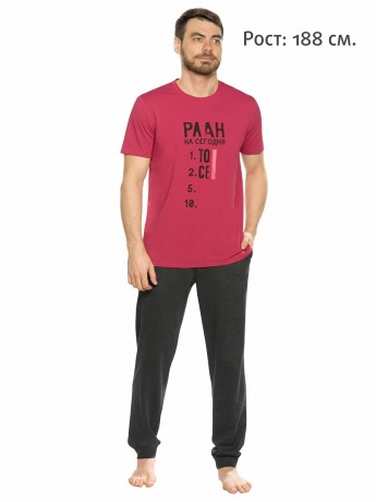 Мужской комплект бордовый, План на сегодня (брюки, рост 188)