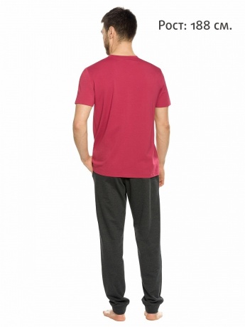 Мужской комплект бордовый, План на сегодня (брюки, рост 188)