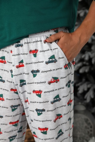 Пижама мужская новогодняя family look Каникулы-4 зеленый