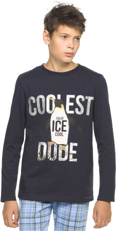 Комплект для мальчиков синий с пингвином (рост: 152-164)