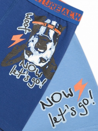 Трусы для мальчиков "Вверх тормашками" (рост 86-92) 2 штук