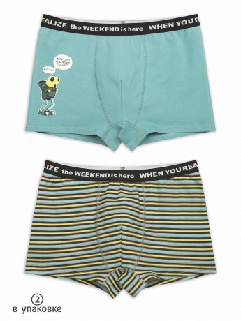 Трусы для мальчиков серые/серые в полоску (рост 86-110) 2 штук
