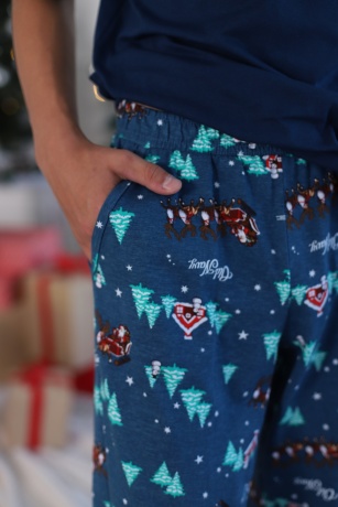 Пижама для мальчика в стиле family look. Новогоднее чудо-2, синий