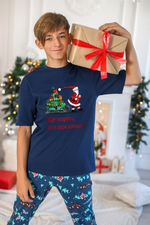 Пижама для мальчика в стиле family look. Новогоднее чудо-2, синий