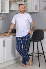 Брюки мужские Кардинал-5 синий