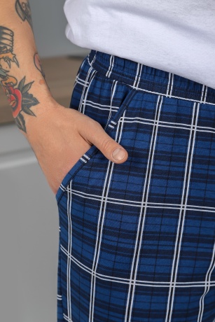 Брюки мужские Кардинал-5 синий