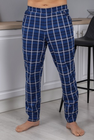 Брюки мужские Кардинал-5 синий