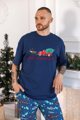 Пижама мужская в стиле family look. Новогоднее чудо-5, синий