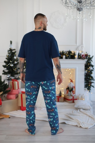 Пижама мужская в стиле family look. Новогоднее чудо-5, синий