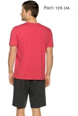 Мужской комплект красный, Папа (шорты)