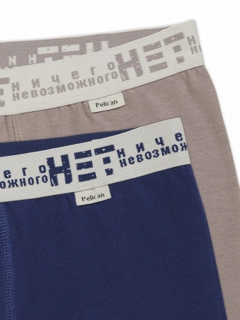 Трусы-шорты для мальчиков серые/темно-синие (2 штук)