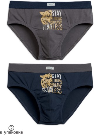 Трусы для мальчиков серые с тигром (2 штук)