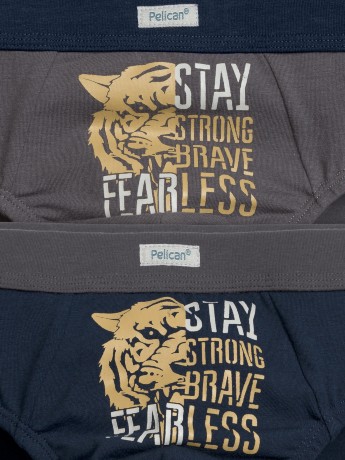 Трусы для мальчиков серые с тигром (2 штук)