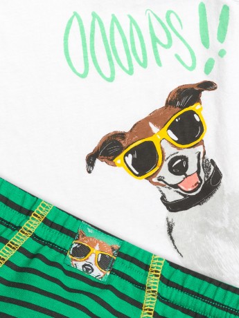 Комплект для мальчиков белая майка с собакой и зеленые трусы