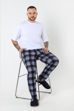 Брюки мужские Старт-5 клетка